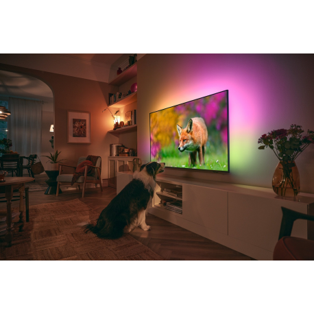 Philips The One 43PUS8518 - 43" Diagonal Class 8500 Series LED-backlit LCD TV - Smart TV - Android TV - 4K UHD (2160p) 3840 x 2160 - HDR - anthracite grey - 3