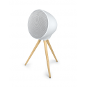 Muse ML-655 BT - Speaker - for portable use - wireless - Bluetooth