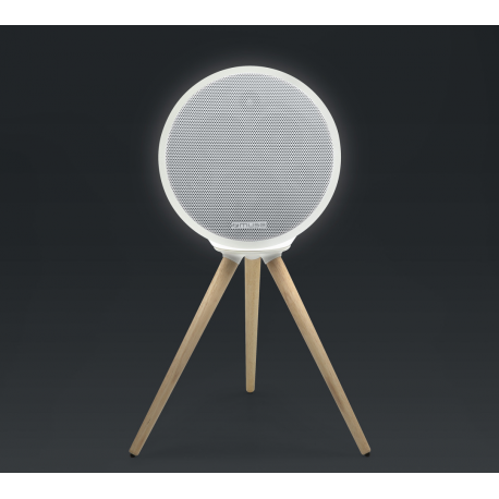 Muse ML-655 BT - Speaker - for portable use - wireless - Bluetooth - 2