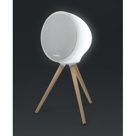 Muse ML-655 BT - Speaker - for portable use - wireless - Bluetooth - 6
