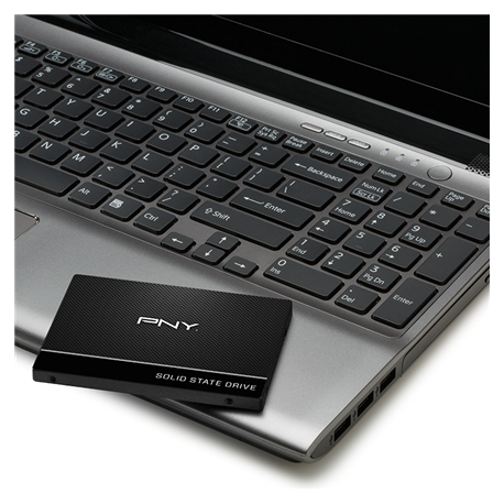 PNY CS900 - SSD - 250 GB - internal - 2.5" - SATA 6Gb / s - 3