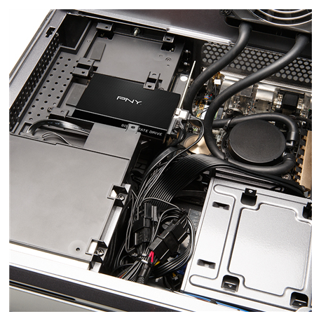 PNY CS900 - SSD - 250 GB - internal - 2.5" - SATA 6Gb / s - 8