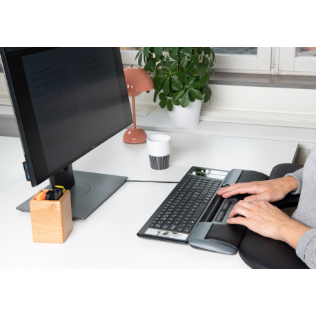 Mousetrapper Delta - Mousetrapper control bar - regular - ergonomic - 6 buttons - wired - USB - grey - 3