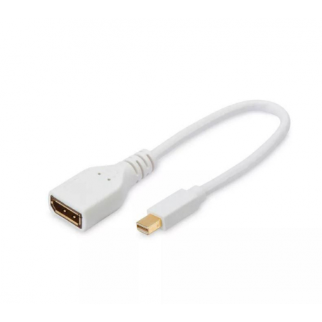MicroConnect - DisplayPort adapter - DisplayPort (F) to Mini DisplayPort (M) - 15 cm - white - 0