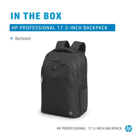 HP Professional - Notebook carrying backpack - 17.3" - atlantic blue internal lining - 13