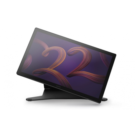 Wacom Cintiq Pro 22 - Digitiser w /  LCD display - 47.6 x 26.8 cm - multi-touch - electromagnetic - 8 buttons - wired - HDMI, DisplayPort, USB-C - 0