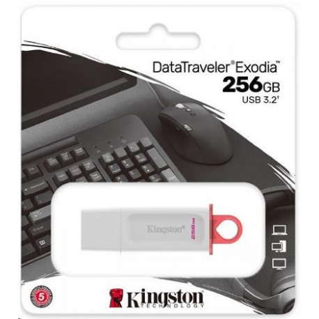 KINGSTON DataTraveler Exodia 256GB USB 3.2 Gen 1 White - 1