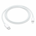 Apple USB-C to Lightning Cable - Lightning cable - 24 pin USB-C male to Lightning male - 1 m