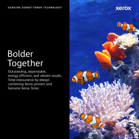Xerox WorkCentre 7200i Series - Black - original - toner cartridge Sold - for WorkCentre 7120, 7125, 7220, 7225 - 6