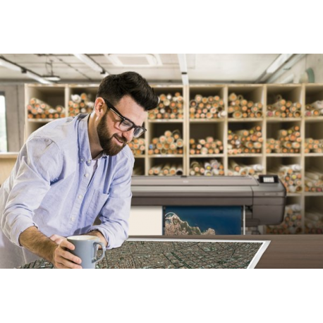 HP DesignJet Z6dr PostScript with V-Trimmer - 44" large-format printer - colour - ink-jet - Roll (111.8 cm) - 2400 x 1200 dpi - up to 1.1 min / page (mono)  /  up to 1.1 min / page (colour) - Gigabit LAN, USB host - cutter - 34