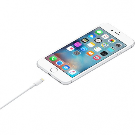 Apple - Lightning cable - Lightning male to USB male - 1 m - 1