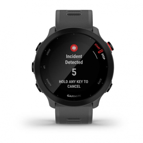 Garmin Forerunner 55 - Sport watch with band - silicone - display 1.04" - Bluetooth, ANT+ - 37 g - monterra grey - 6