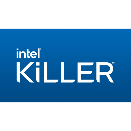 INTEL Killer WI-FI 7 x BE1750 x 2230 2x2 BE+BT No vPro