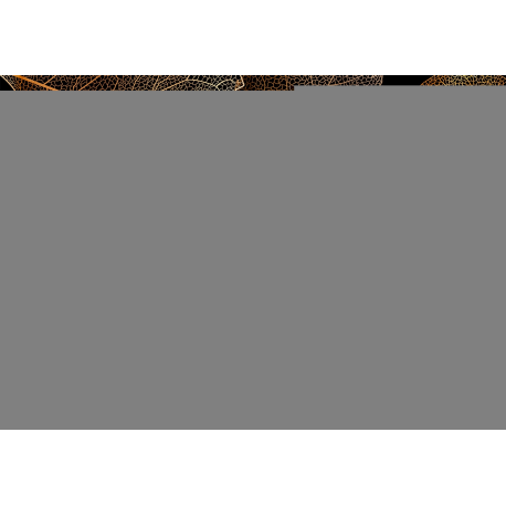 Bang & Olufsen BeoSound A9 - 5th Generation - speaker - wireless - Fast Ethernet, Wi-Fi, Bluetooth - App-controlled - USB - gold tone - 1