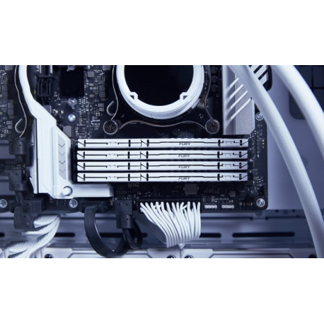 Kingston FURY Beast - DDR5 - module - 16 GB - DIMM 288-pin - 3000 MHz  /  PC5-48000 - CL36 - 1.35 V - unbuffered - on-die ECC - white - 10