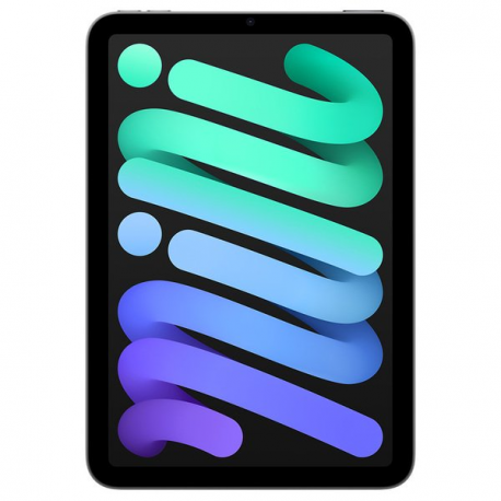 Apple iPad mini A17 Pro Wi-Fi - Tablet - 128 GB - 8.3" IPS (2266 x 1488) - space grey - 0