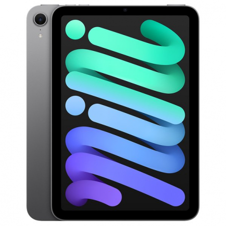 Apple iPad mini A17 Pro Wi-Fi - Tablet - 256 GB - 8.3" IPS (2266 x 1488) - space grey - 1