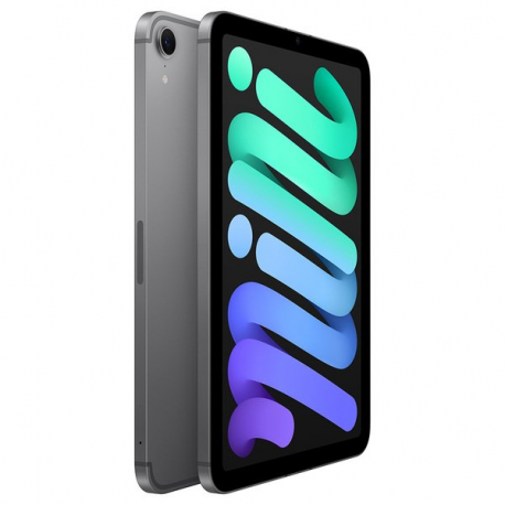 Apple iPad mini A17 Pro Wi-Fi + Cellular - Tablet - 512 GB - 8.3" IPS (2266 x 1488) - 3G, 4G, 5G - space grey - 2