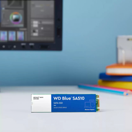 WD Blue SA510 WDS250G3B0B-00AXS0 - SSD - 250 GB - internal - M.2 2280 - SATA 6Gb/s - blue - 6