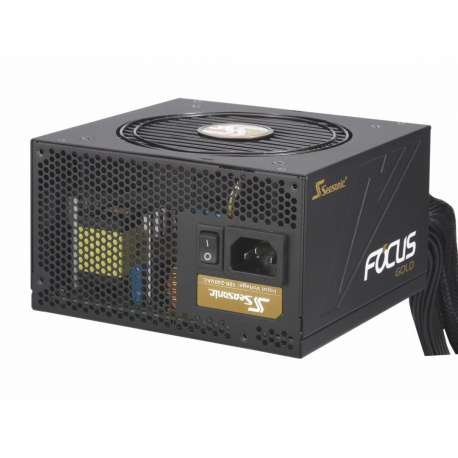Seasonic FOCUS Gold SSR-650FM - Power supply (internal) - ATX12V - 80 PLUS Gold - AC 100-240 V - 650 Watt - 3