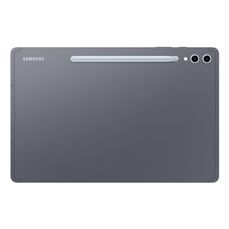 Samsung Galaxy Tab S10+ - Tablet - Android - 256 GB - 12.4" Dynamic AMOLED 2X (2800 x 1752) - microSD slot - 3G, 4G, 5G - moonstone grey - 2
