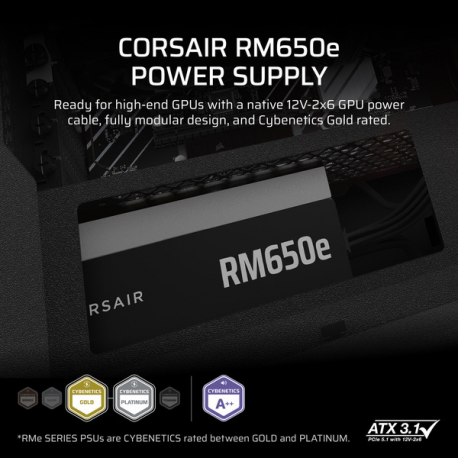 CORSAIR RMe Series RM650e - Power supply (internal) - ATX 3.1 - 80 PLUS Gold - AC 100-240 V - 650 Watt - Europe - 10