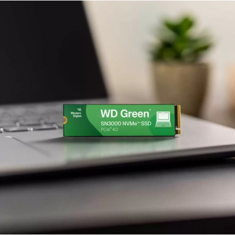 WD Green SN3000 WDS500G4G0E-00CPS0 - SSD - 500 GB - internal - M.2 2280 - PCIe 4.0 x4 (NVMe) - 4