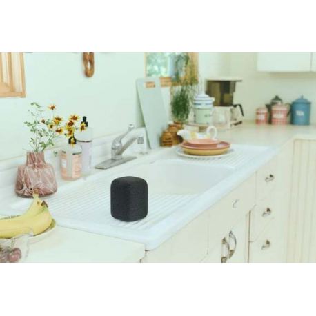 Sony LinkBuds SRS-LS1 - Speaker - for portable use - wireless - Bluetooth - App-controlled - 2-way - black - 6