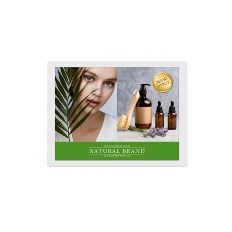 Sharp EP-C131 - 13.3" Diagonal Class e-Paper display - digital signage 1600 x 1200 - 0