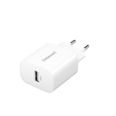 Intenso W5A - Power adapter - 5 Watt - 1 A (USB) - white - 0