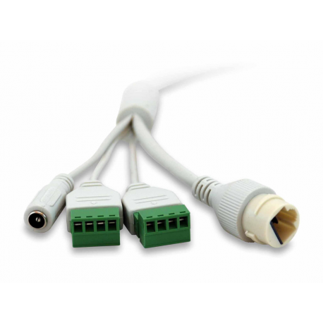 LevelOne GEMINI series FCS-3402 - Network surveillance camera - dome - outdoor, indoor - vandal  /  weatherproof - colour (Day&Night) - 2 MP - 1920 x 1080 - fixed focal - audio - LAN 10 / 100 - MJPEG, H.264, H.265 - DC 12 V  /  PoE Class 3 - 1