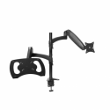 Trust Mara - Mounting kit (dual arm) - for monitor  /  notebook - black - screen size: up to 32" (monitor)  /  up to 17" (notebook) - desk-mountable