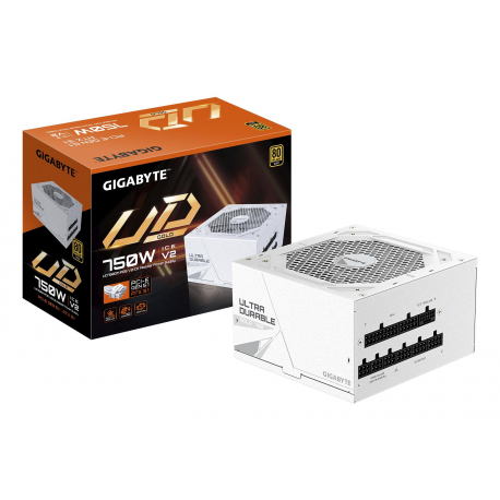 Gigabyte UD750GM PG5 V2 ICE - Power supply (internal) - ATX12V 3.1 /  EPS12V - 80 PLUS Gold - AC 100-240 V - 750 Watt - active PFC - 0