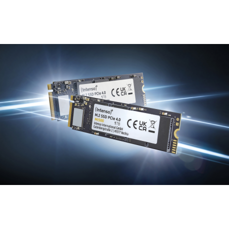 Intenso MI500 - SSD - 500 GB - internal - M.2 2280 - PCIe 4.0 x4 (NVMe) - 0