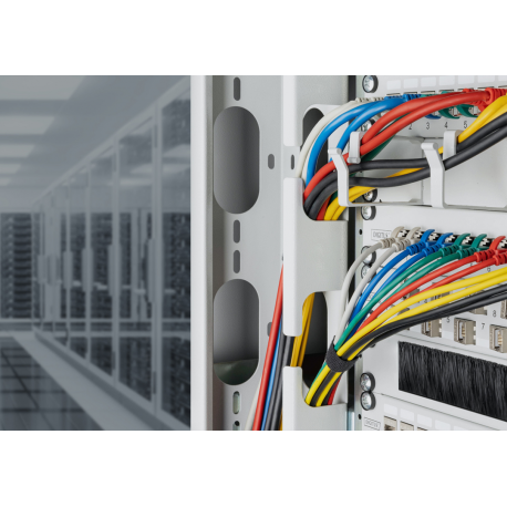 DIGITUS - Patch cable - RJ-45 (M) to RJ-45 (M) - 30 cm - 3.8 mm - F / FTP - CAT 6a - IEEE 802.3 - halogen-free, slim - red - 1