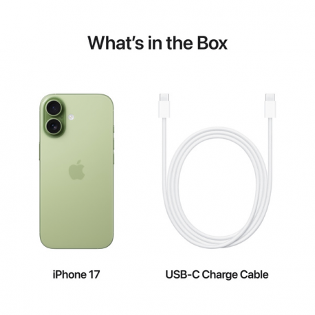 Apple iPhone 17 - 5G smartphone - dual-SIM  /  Internal Memory 256 GB - OLED display - 6.3" - 2622 x 1206 pixels (120 Hz) - 2x rear cameras 48 MP, 48 MP - front camera 18 Megapixel - sage - 7