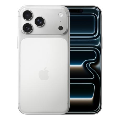 Apple iPhone 17 Pro Max - silver - 5G smartphone - 256 GB - GSM - 1