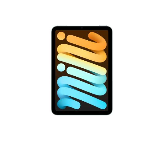 Apple iPad mini A17 Pro Wi-Fi - Tablet - 256 GB - 8.3" IPS (2266 x 1488) - blue - 0