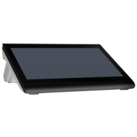 Colormetrics C1400, 35.5cm (14'), Projected Capacitive, SSD, display, black - 0
