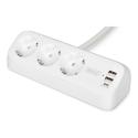 DIGITUS - Power strip - AC 250 V - 3680 Watt - input: power - output connectors: 3 (3 x power Type F, 2 x USB, USB-C) - 1.5 m cord - white