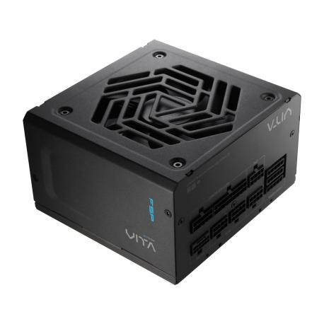 FSP Vita GM - Power supply (internal) - ATX12V 3.1 / EPS12V 2.92 - 80 PLUS Gold - Cybenetics Gold - AC 100-240 V - 750 Watt - black - 0