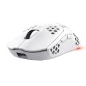 Trust GXT 929W Helox - Mouse - ultra-lightweight, gaming - right-handed - optical - 6 buttons - wireless - 2.4 GHz - USB wireless receiver - white