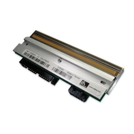 Zebra - 300 dpi - printhead - 0