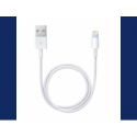 Apple - Lightning cable - Lightning male to USB male - 50 cm - for iPad / iPhone / iPod (Lightning)