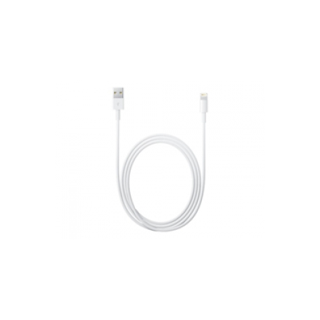 Apple - Lightning cable - Lightning male to USB male - 2 m - for iPad / iPhone / iPod (Lightning) - 0
