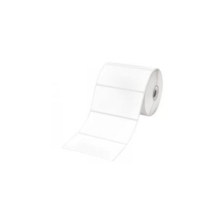 Brother RDS02E1 - Roll (10.2cm) 1 roll(s) 278) die cut labels - for Brother TD-4000, TD-4100N - 2