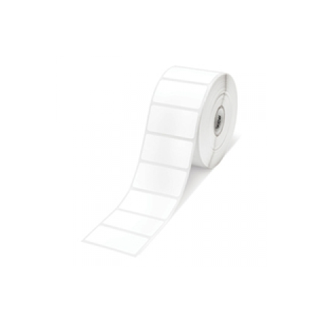 Epson PE - Matte - 102 x 51 mm 535 label(s) (1 roll(s) x 535) die cut labels - for ColorWorks CW-C4000E (BK), CW-C4000E (MK); TM C3500 - 0