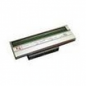 Zebra - 203 dpi - printhead - for LP 2844, 2844-Z