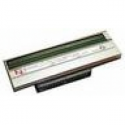 Zebra - 300 dpi - printhead - for Zebra ZM400; Z Series ZM400