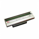 Zebra - 203 dpi - printhead - for Zebra 110Xi4